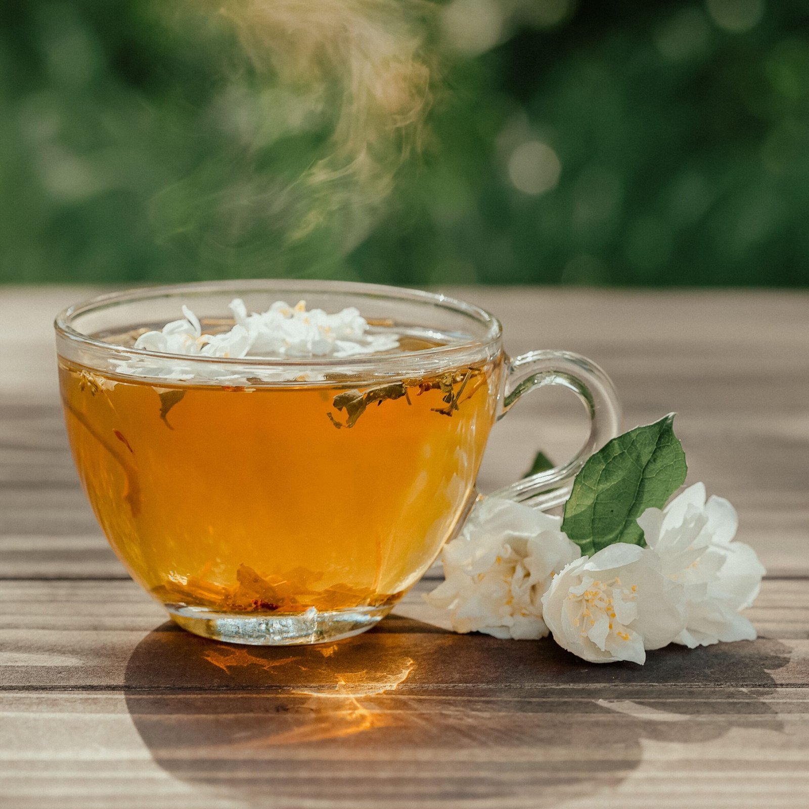 Glass cup of healthy herbal tea served on wooden table near fresh gentle Arabian jasmine flowers on sunny day on terrace